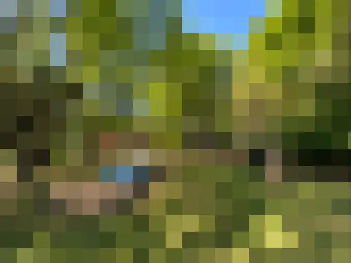 Oud Milligenseweg 62 C18 Garderen thumbnail 41