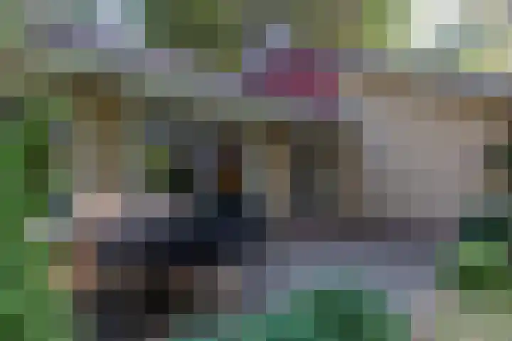 Oud Milligenseweg 62 C18 Garderen thumbnail 5
