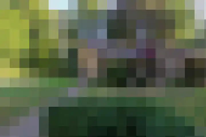 Oud Milligenseweg 62 C18 Garderen thumbnail 6