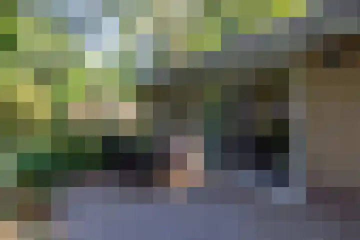 Oud Milligenseweg 62 C18 Garderen thumbnail 7
