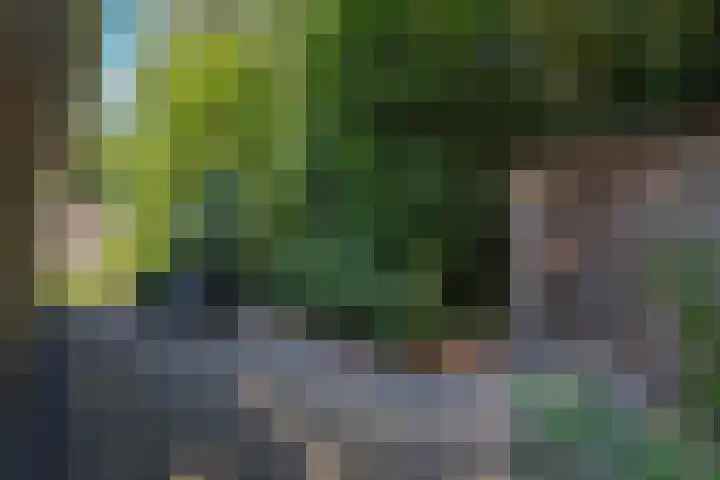 Oud Milligenseweg 62 C18 Garderen thumbnail 9