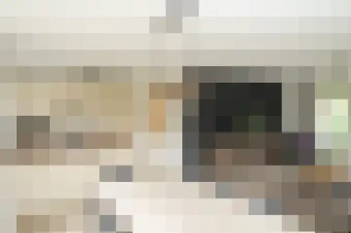 Oud Milligenseweg 62 H12 Garderen thumbnail 10