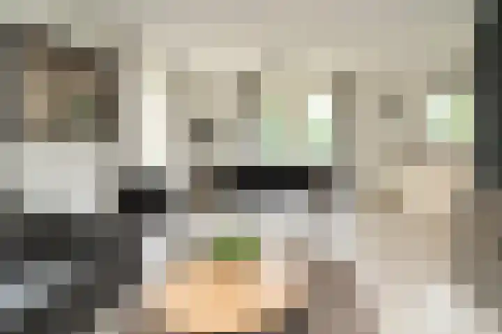 Oud Milligenseweg 62 H12 Garderen thumbnail 13