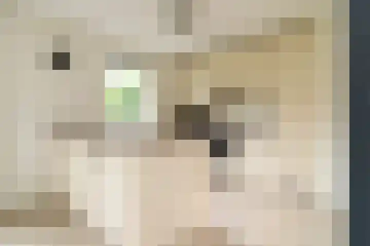 Oud Milligenseweg 62 H12 Garderen thumbnail 15