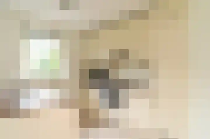 Oud Milligenseweg 62 H12 Garderen thumbnail 16