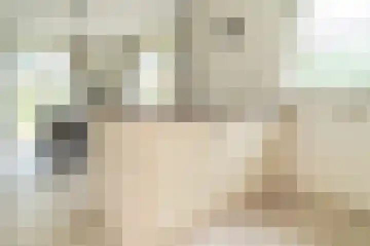 Oud Milligenseweg 62 H12 Garderen thumbnail 17