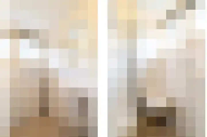 Oud Milligenseweg 62 H12 Garderen thumbnail 29