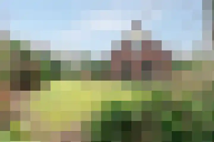 Oud Milligenseweg 62 H12 Garderen thumbnail 37
