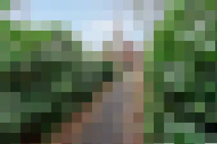 Oud Milligenseweg 62 H12 Garderen thumbnail 38