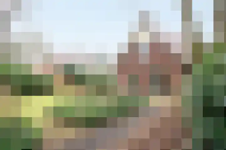 Oud Milligenseweg 62 H12 Garderen thumbnail 39