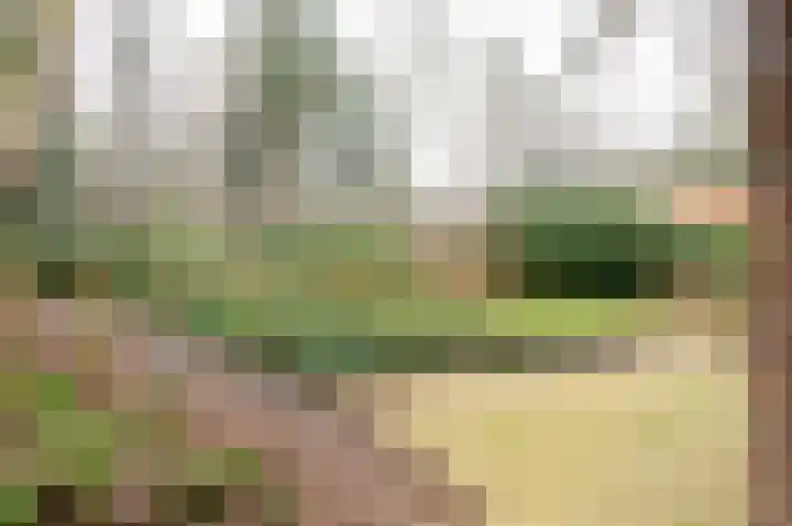 Oud Milligenseweg 62 H12 Garderen thumbnail 41