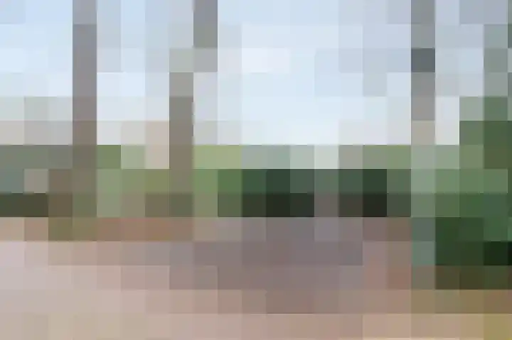 Oud Milligenseweg 62 H12 Garderen thumbnail 43