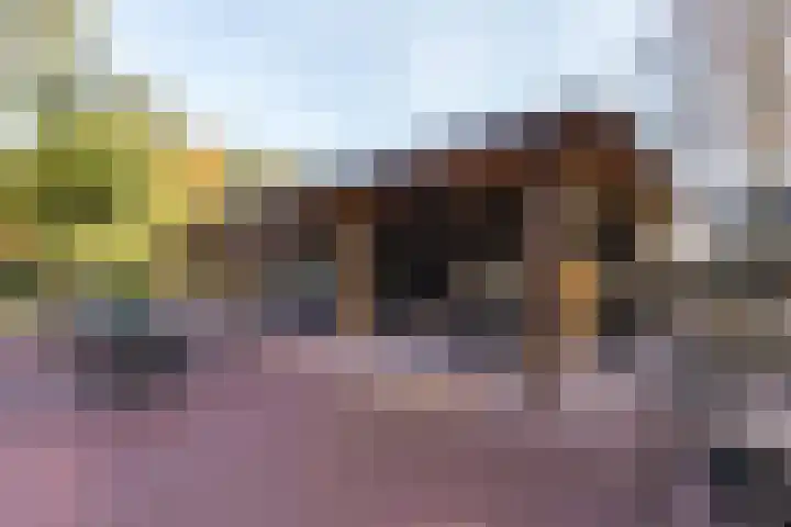 Oud Milligenseweg 62 H12 Garderen thumbnail 45