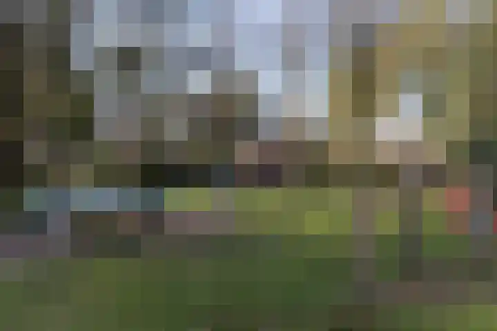 Oud Milligenseweg 62 H12 Garderen thumbnail 46