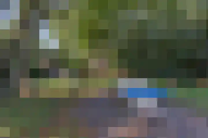 Oud Milligenseweg 62 H12 Garderen thumbnail 47