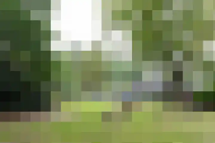 Oud Milligenseweg 62 H12 Garderen thumbnail 48