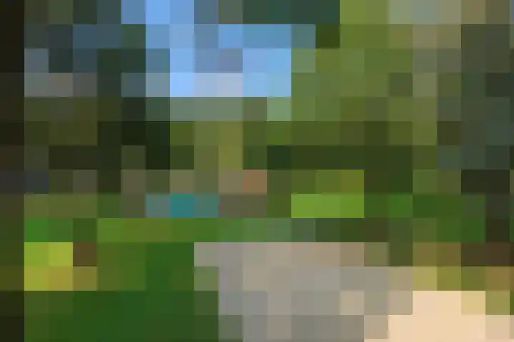 Oud Milligenseweg 62 H12 Garderen thumbnail 49