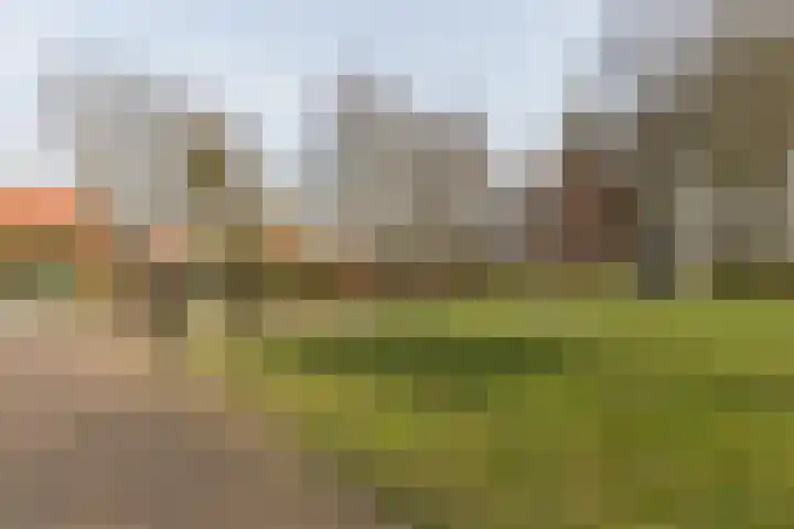 Oud Milligenseweg 62 H12 Garderen thumbnail 54