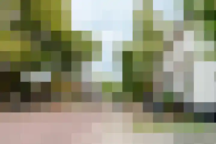 Oud Milligenseweg 62 H12 Garderen thumbnail 55