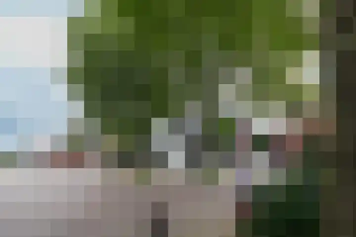 Oud Milligenseweg 62 H12 Garderen thumbnail 56