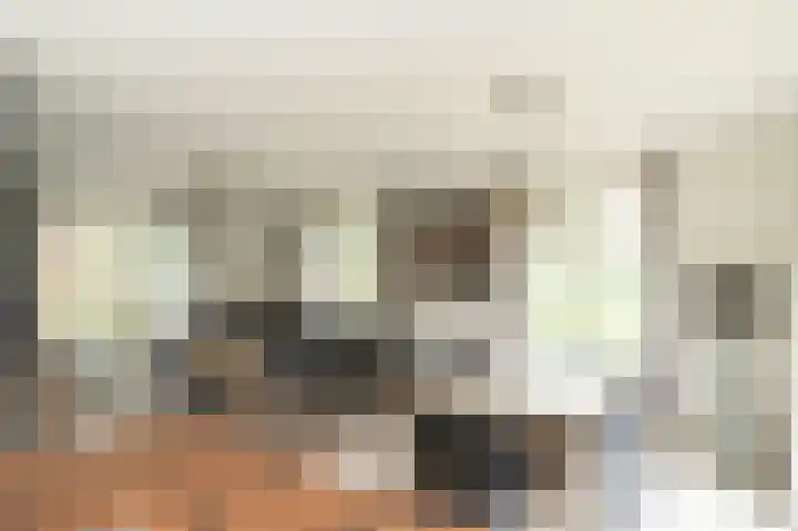 Oud Milligenseweg 62 H12 Garderen thumbnail 9