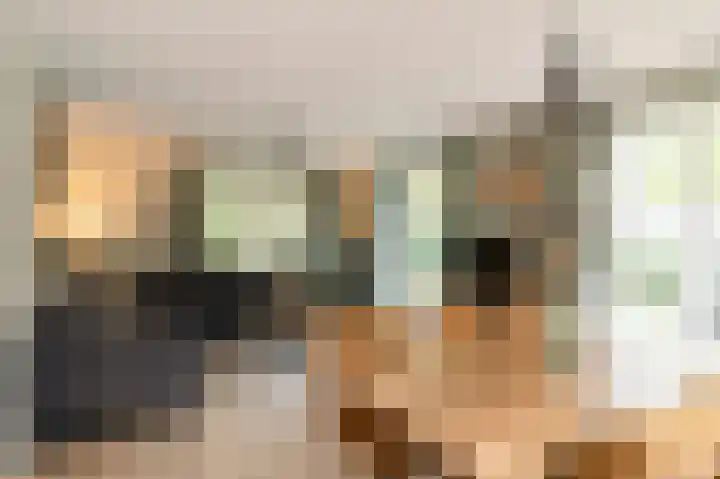 Oud Milligenseweg 62 H7 Garderen thumbnail 11