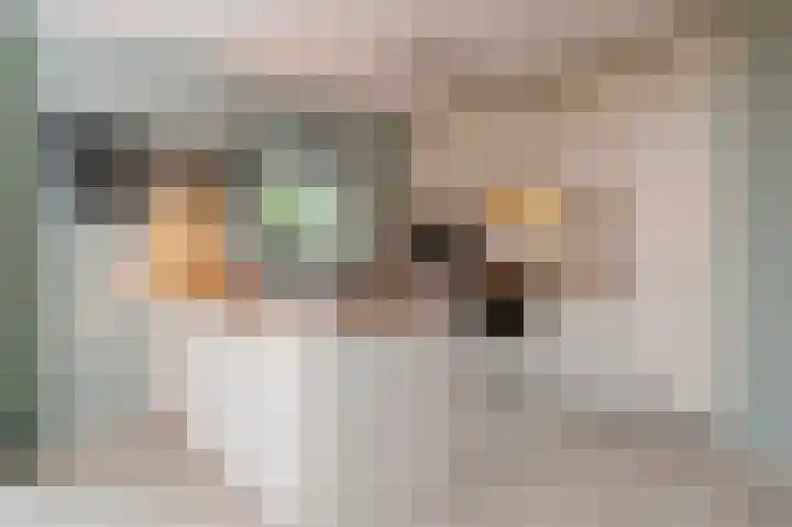 Oud Milligenseweg 62 H7 Garderen thumbnail 18