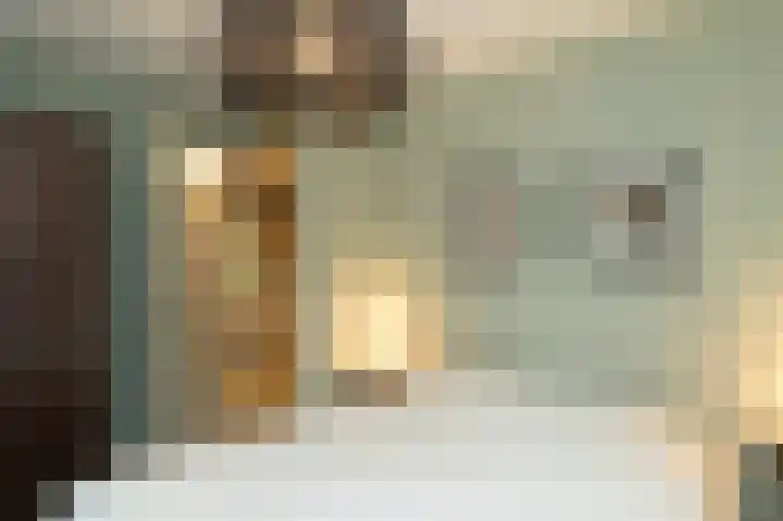 Oud Milligenseweg 62 H7 Garderen thumbnail 22