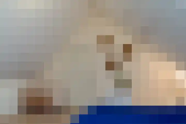 Oud Milligenseweg 62 H7 Garderen thumbnail 31