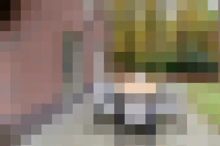 Oud Milligenseweg 62 H7 Garderen thumbnail 38