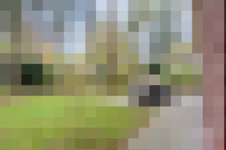 Oud Milligenseweg 62 H7 Garderen thumbnail 39