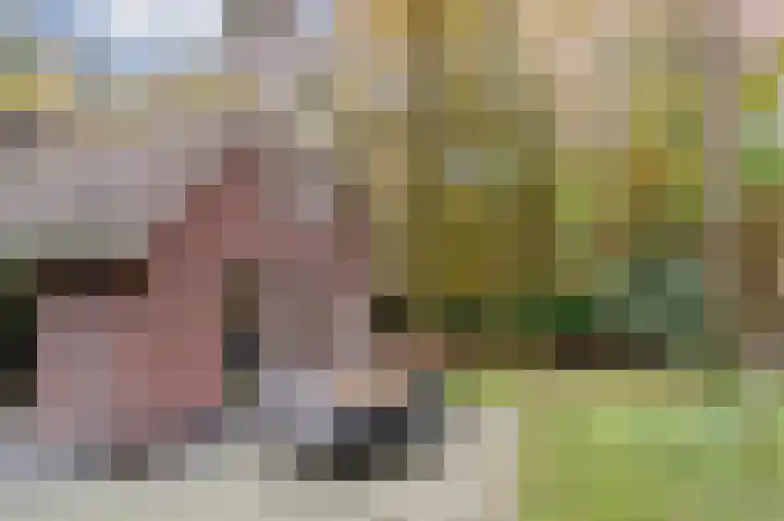 Oud Milligenseweg 62 H7 Garderen thumbnail 40