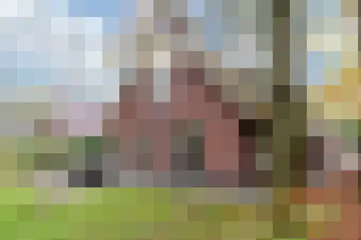 Oud Milligenseweg 62 H7 Garderen thumbnail 41