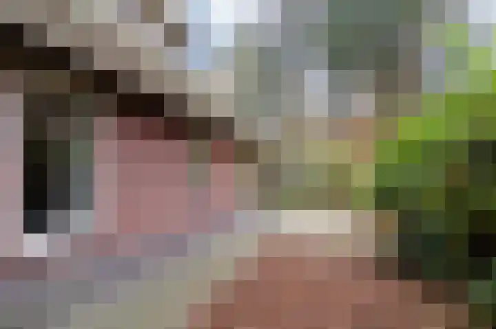 Oud Milligenseweg 62 H7 Garderen thumbnail 42