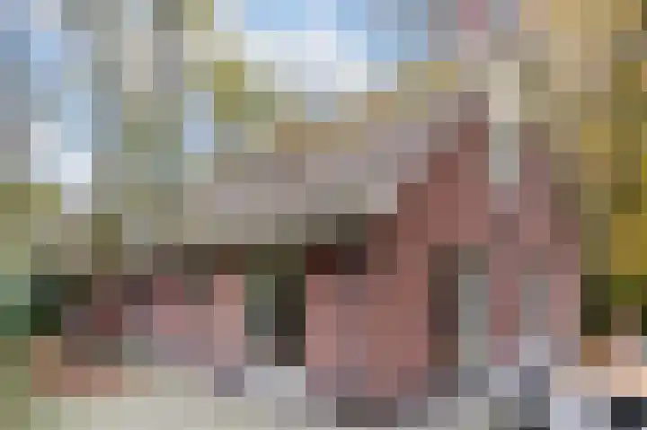 Oud Milligenseweg 62 H7 Garderen thumbnail 43