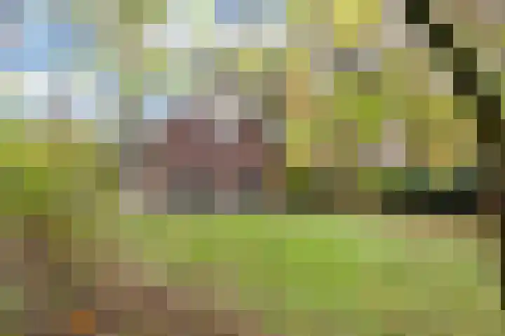 Oud Milligenseweg 62 H7 Garderen thumbnail 44