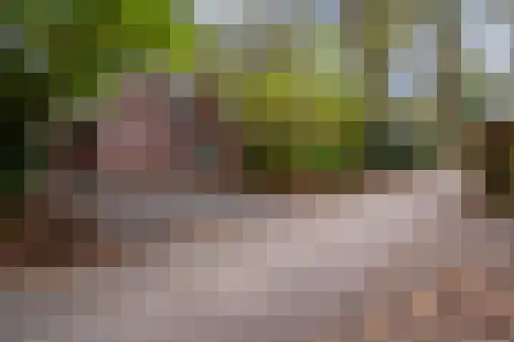 Oud Milligenseweg 62 H7 Garderen thumbnail 46
