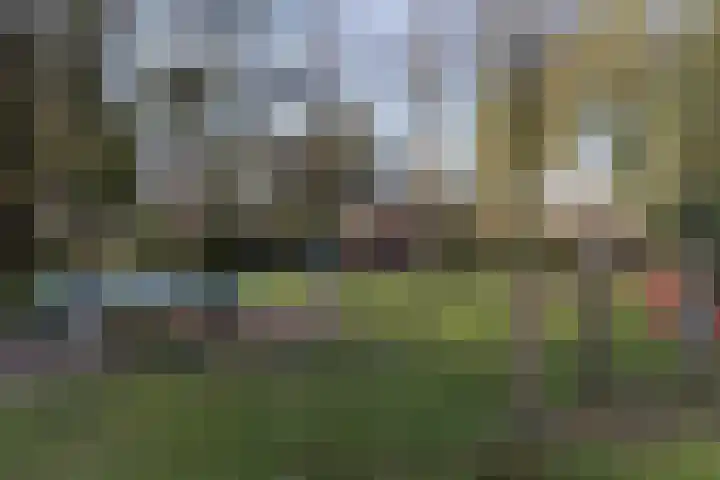 Oud Milligenseweg 62 H7 Garderen thumbnail 47