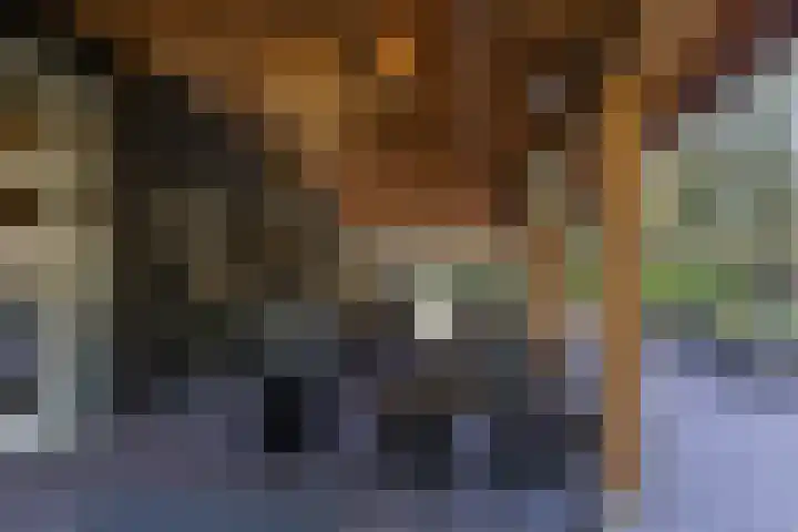 Oud Milligenseweg 62 H7 Garderen thumbnail 49