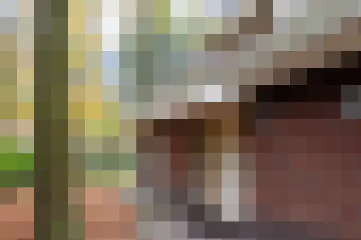 Oud Milligenseweg 62 H7 Garderen thumbnail 5
