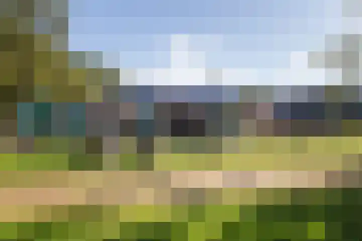 Oud Milligenseweg 62 H7 Garderen thumbnail 50