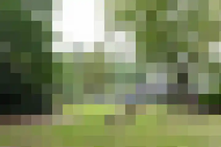 Oud Milligenseweg 62 H7 Garderen thumbnail 53