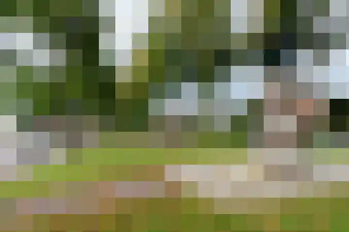Oud Milligenseweg 62 H7 Garderen thumbnail 56