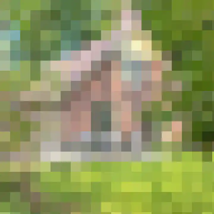 Oud Milligenseweg 62 H7 Garderen thumbnail 59