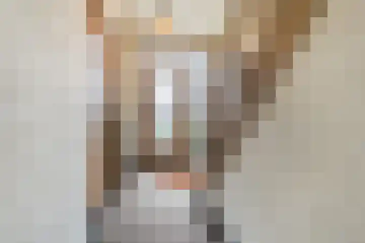 Oud Moleneind 15 Uden thumbnail 10