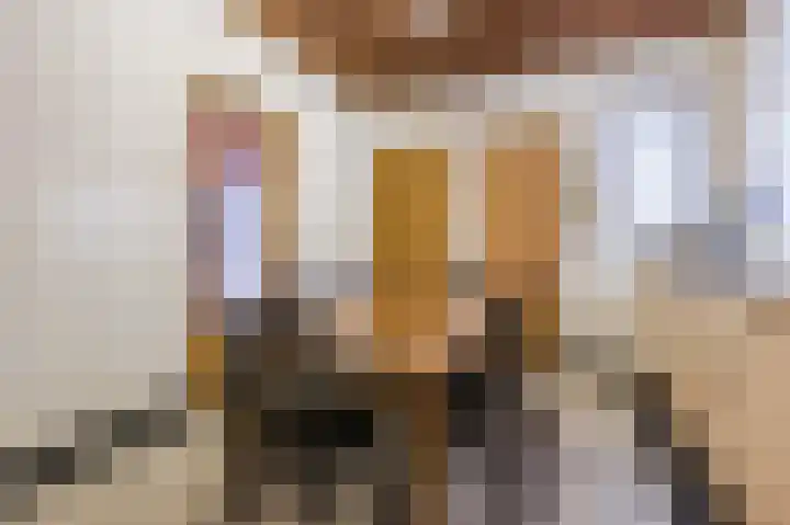 Oud Moleneind 15 Uden thumbnail 16