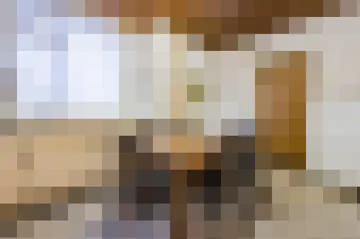 Oud Moleneind 15 Uden thumbnail 17