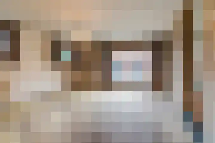 Oud Moleneind 15 Uden thumbnail 24
