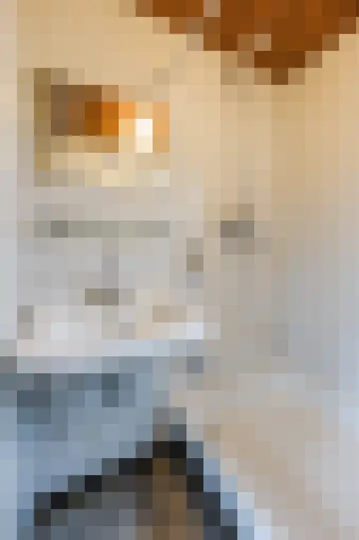 Oud Moleneind 15 Uden thumbnail 28