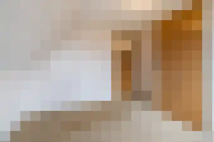 Oud Moleneind 15 Uden thumbnail 36